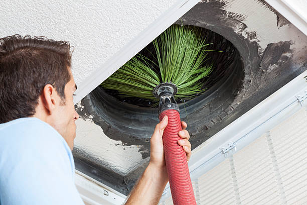 Best Air Duct Sanitizing Services  in Encinal, TX